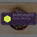 bidizua.pro